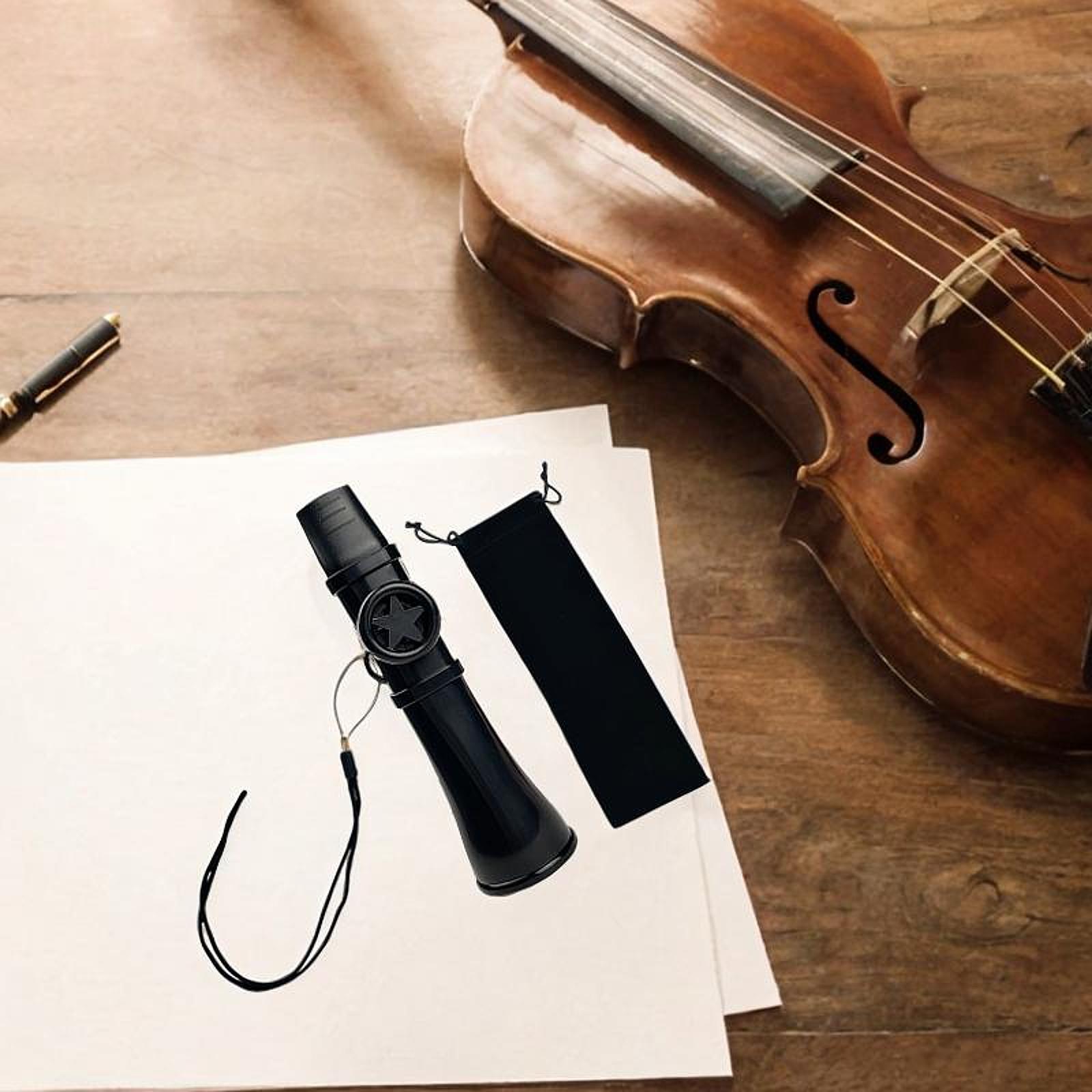 악기 카주 플루트 휴대용 ABS 소재 보관 가방 성인과 - Musical Instrument Harmonium 리뷰 및 가격