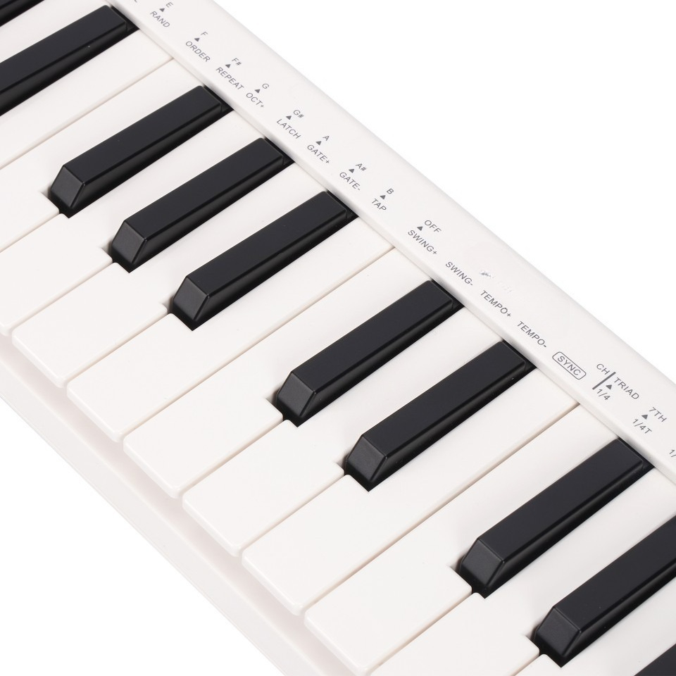 25키 MIDI 컨트롤러, 무선 휴대용 키보드, MID - A Musical Instrument With Keys 리뷰 및 가격