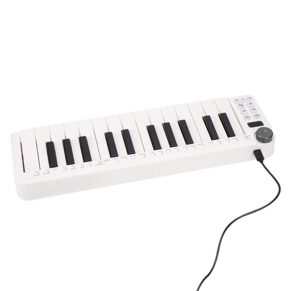 25키 MIDI 컨트롤러, 무선 휴대용 키보드, MID - A Musical Instrument With Keys 리뷰 및 가격